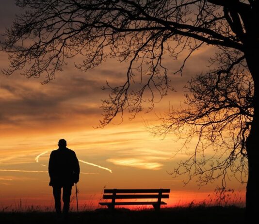 La soledad que enferma al Producto Interno Bruto