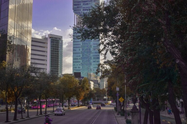 Inseguridad en México: 61.5 % de los mexicanos consideran insegura su ciudad