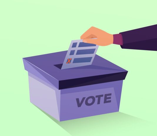 Votar en las elecciones es un deber y un derecho