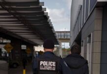 ¡Se desploman las detenciones en la frontera!