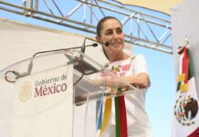 Sheinbaum debe pedir licencia