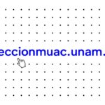 El MUAC digitaliza su acervo: lanza plataforma de consulta pública y gratuita con más de 2200 obras artísticas