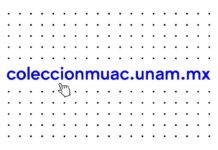 El MUAC digitaliza su acervo: lanza plataforma de consulta pública y gratuita con más de 2200 obras artísticas
