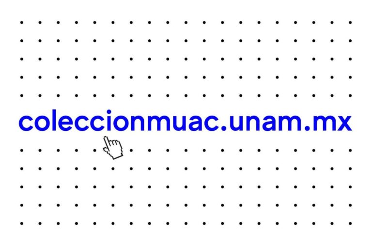 El MUAC digitaliza su acervo: lanza plataforma de consulta pública y gratuita con más de 2200 obras artísticas