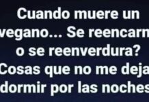 El Meme