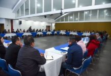 Detección de gusano barredor en Tlalpan no debe ser un caso “aislado”; urgen operativos sanitarios aleatorios