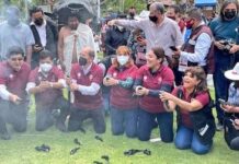 Gobierno y Morena ven al ajolote como elemento propagandístico; en 2022 alteraron su hábitat