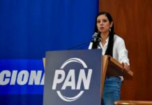 PAN CDMX exige transparencia en el costo por “ajolotizar” a la CDMX; denuncia adjudicaciones directas a empresa “Amiga” de la jefa de gobierno para pintar cruces y puentes