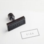 Más del 53 % de las visas H-1B favorece a quienes ya están en EE. UU.