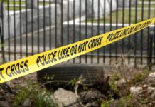 Radiografía del homicidio: ¿México camina hacia la paz?