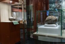 Por primera vez, exhiben pelota de hule con más de 3,600 años de antigüedad, proveniente de Veracruz