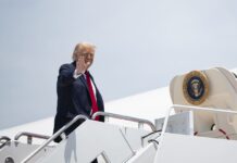 Videoblog: Trump aniquila a Capo