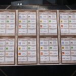 El INE paralizado ante la campaña que ya inició