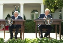 Paleros, manipuladores, caciquillos, vividores, ladrones, polizontes… con DT