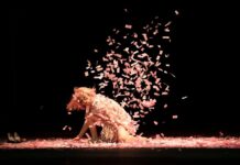 Danza UNAM presenta Luna de Shanghai de El Cuerpo Mutable/teatro de movimiento