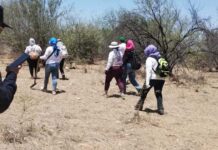 Videoblog: Claudia Sheinbaum frente al dolor de las madres buscadoras