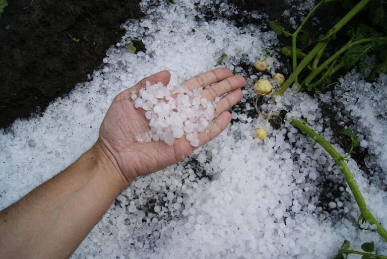 FM alerta a las empresas sobre el creciente riesgo de granizo y lanza una herramienta de mapeo en México