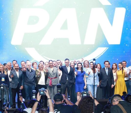 El PAN ante una nueva boleta electoral
