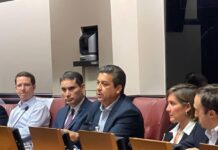 El Huachicol Fiscal: Una Trama de Convenientes Chivos Expiatorios