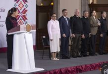 Videoblog: Atropello a la Mexicana