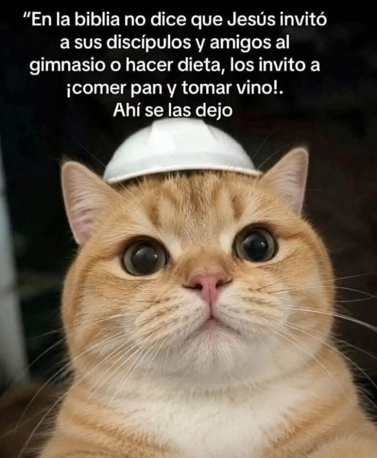 El Meme