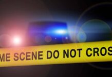 ¿Menos sangre? Radiografía homicida en México