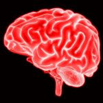 Infarto cerebral: retrasar el diagnóstico deja secuelas en 7 de cada 10 sobrevivientes