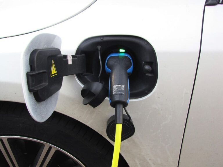 ¡Autos eléctricos rompen récord en México!