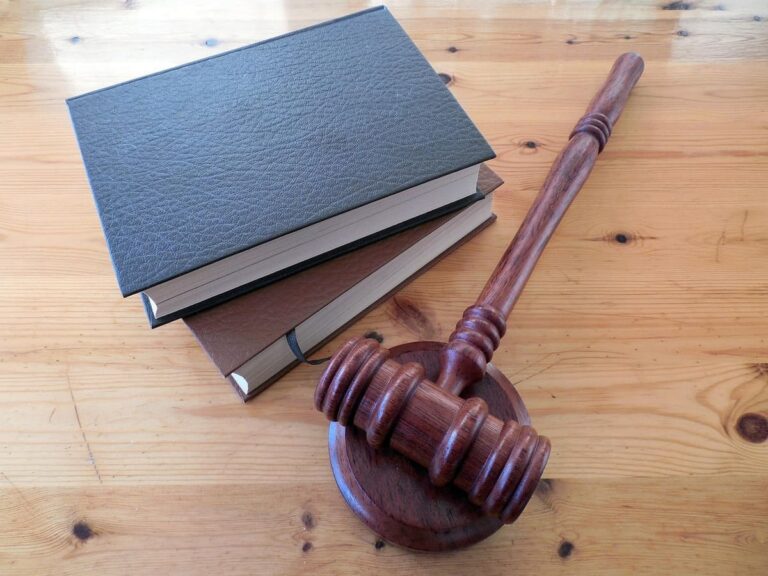Leyes de mentiritas