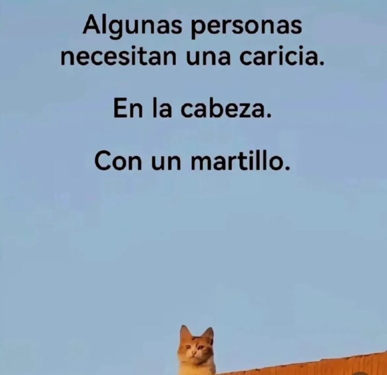 El Meme