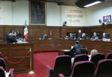 Videoblog: Corte de chamanes