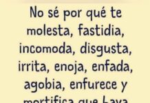 El Meme
