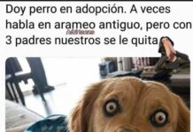 El Meme