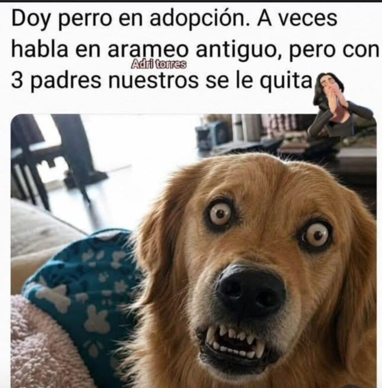 El Meme