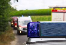 Homicidios en México bajan durante actual sexenio