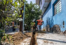Caída del desempleo al 2.9% destaca en gestión de Claudia Sheinbaum