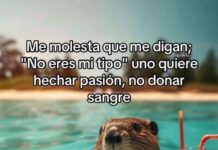 El Meme