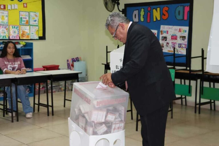 ¿Sabe alguien qué son las plataformas electorales?
