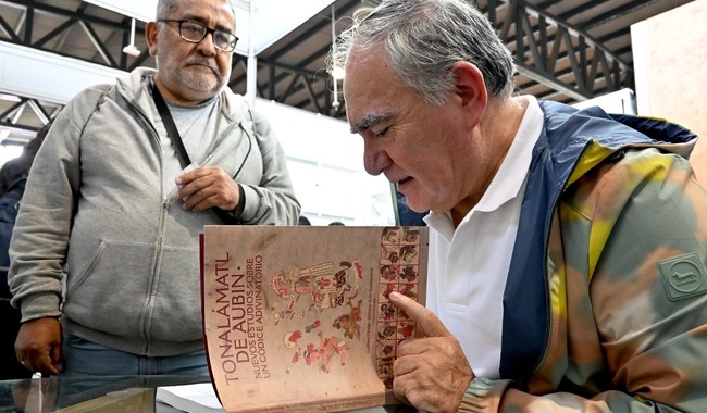 Confirman antigüedad prehispánica del Códice Tonalámatl de Aubin