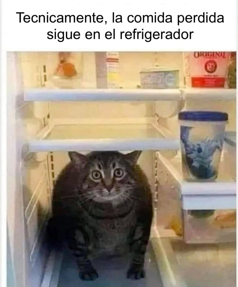 El Meme
