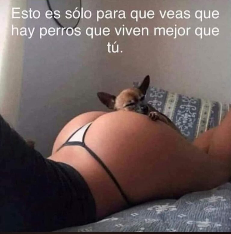 El Meme