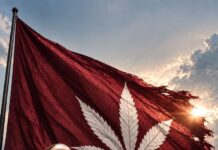 La bandera ante la que jura Morena