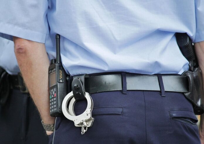 cocoparisienne-police-378255_1280 (1)