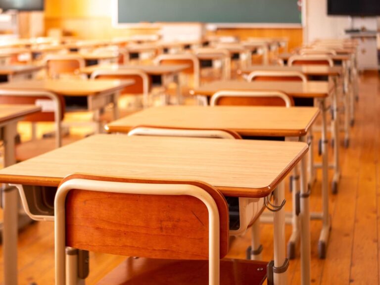 ¿Derecho a la educación…?