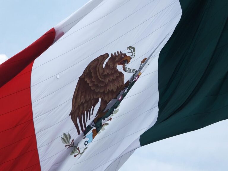 Videoblog:  ¿México vive? Nuestra cruda realidad tras el Grito