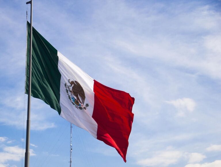 Videoblog. México independiente: ¿Un festejo en medio de la crisis?