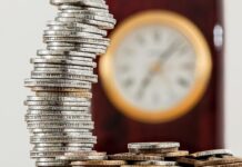 PIB o no PIB: de eso se trata; meta: sólo becas