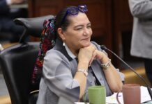Taddei-Morena, Ahumada 2.0; Compló y crisis electoral 2027