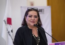 Ni se ilusionen: el INE no se va a democratizar
