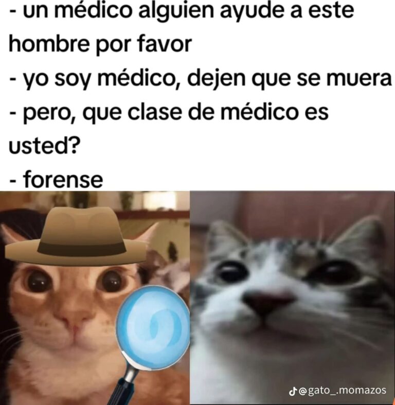 El Meme